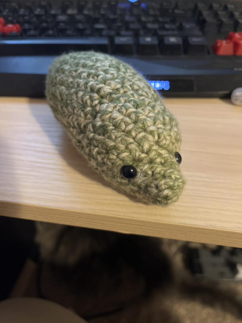 a plush dinosaur with beady, black eyes. it is crocheted out of green-and-biege yarn. it's roughly tube-shaped and lacks legs.