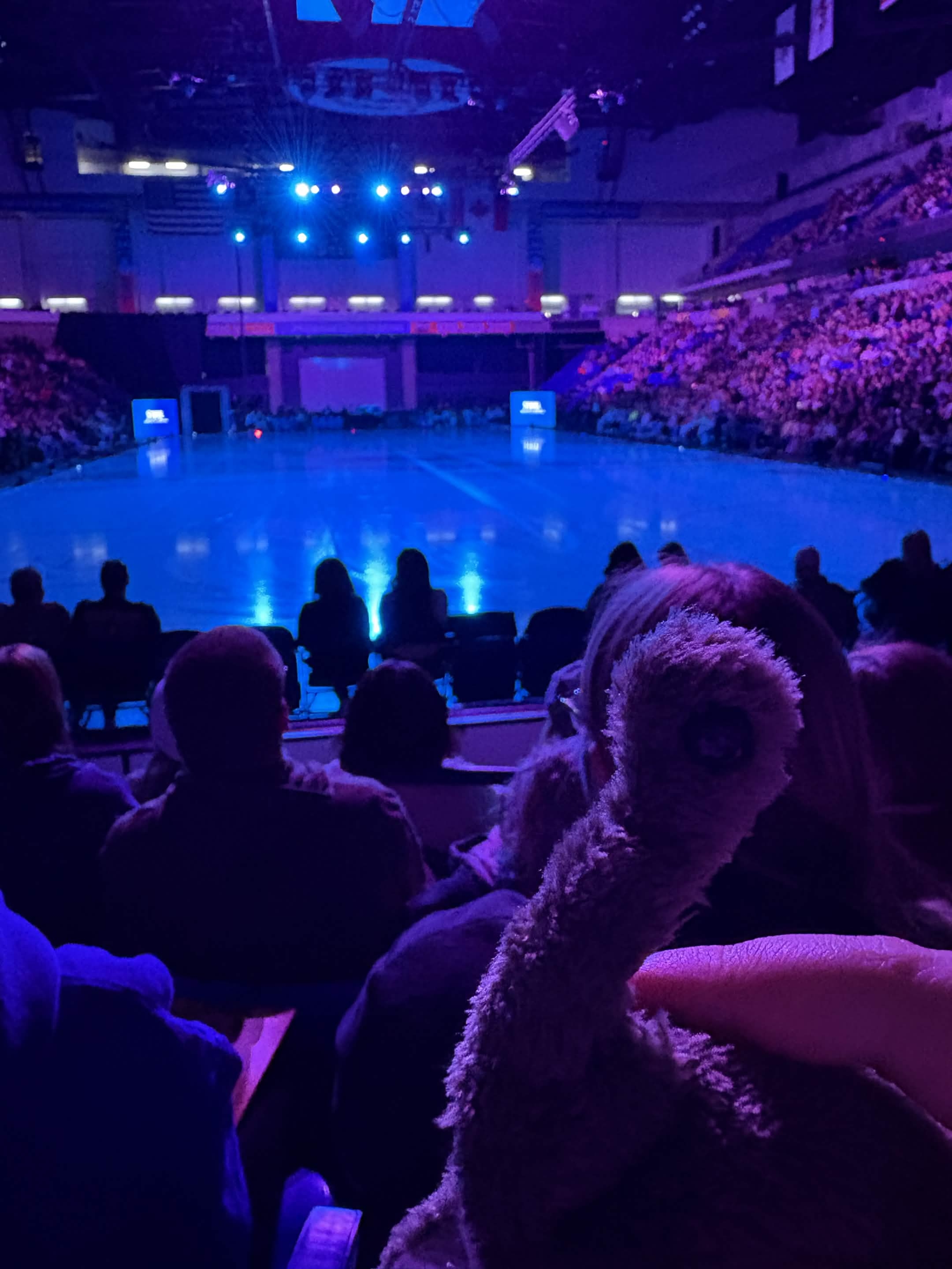 a photo of an indoor ice skating rink in harsh blue lighting. the surrounding seats are packed, but there is no one on the rink. the person taking the photo is holding up a small plush dinosaur in the bottom corner.
