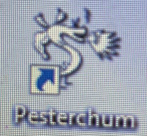 a close-up, blurry photo of the desktop, showing a single program shortcut titled "pesterchum." the icon is a black-and-white image of the homestar runner character trogdor the burninator.