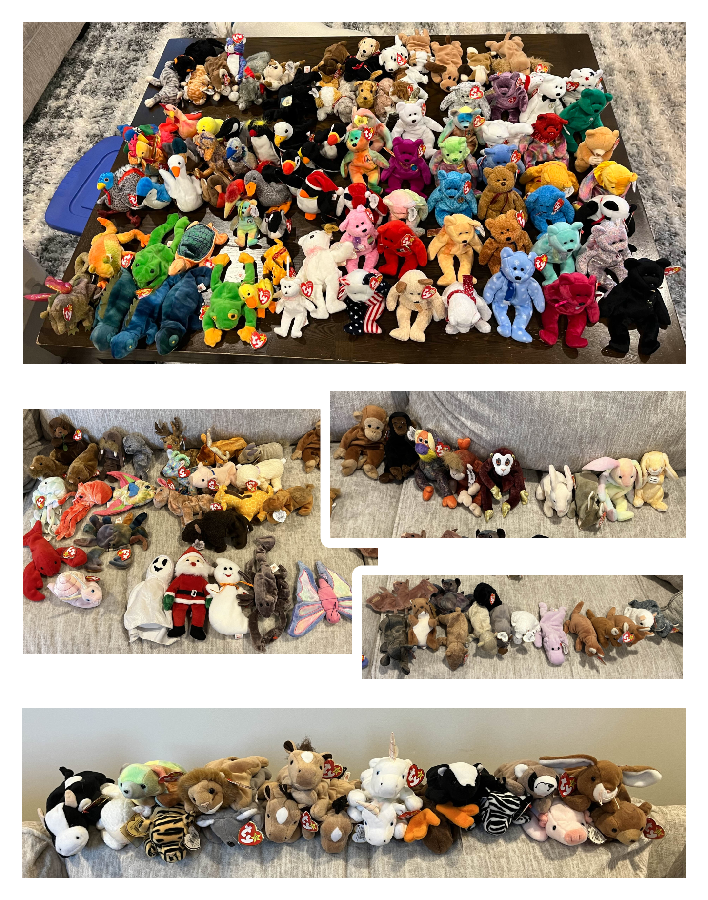 several photos of beanie babies